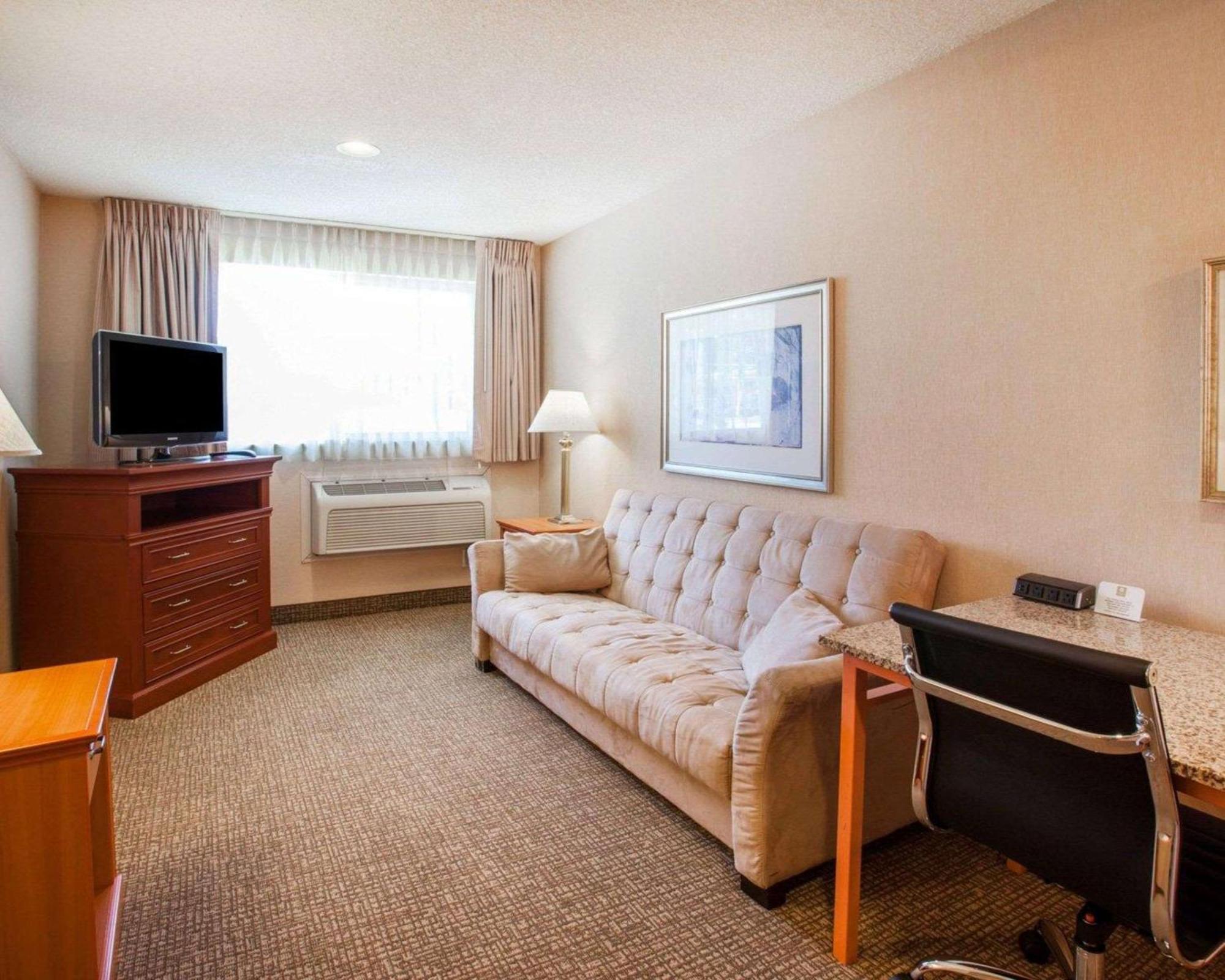 King Suite Sofa Bed Non Smoking