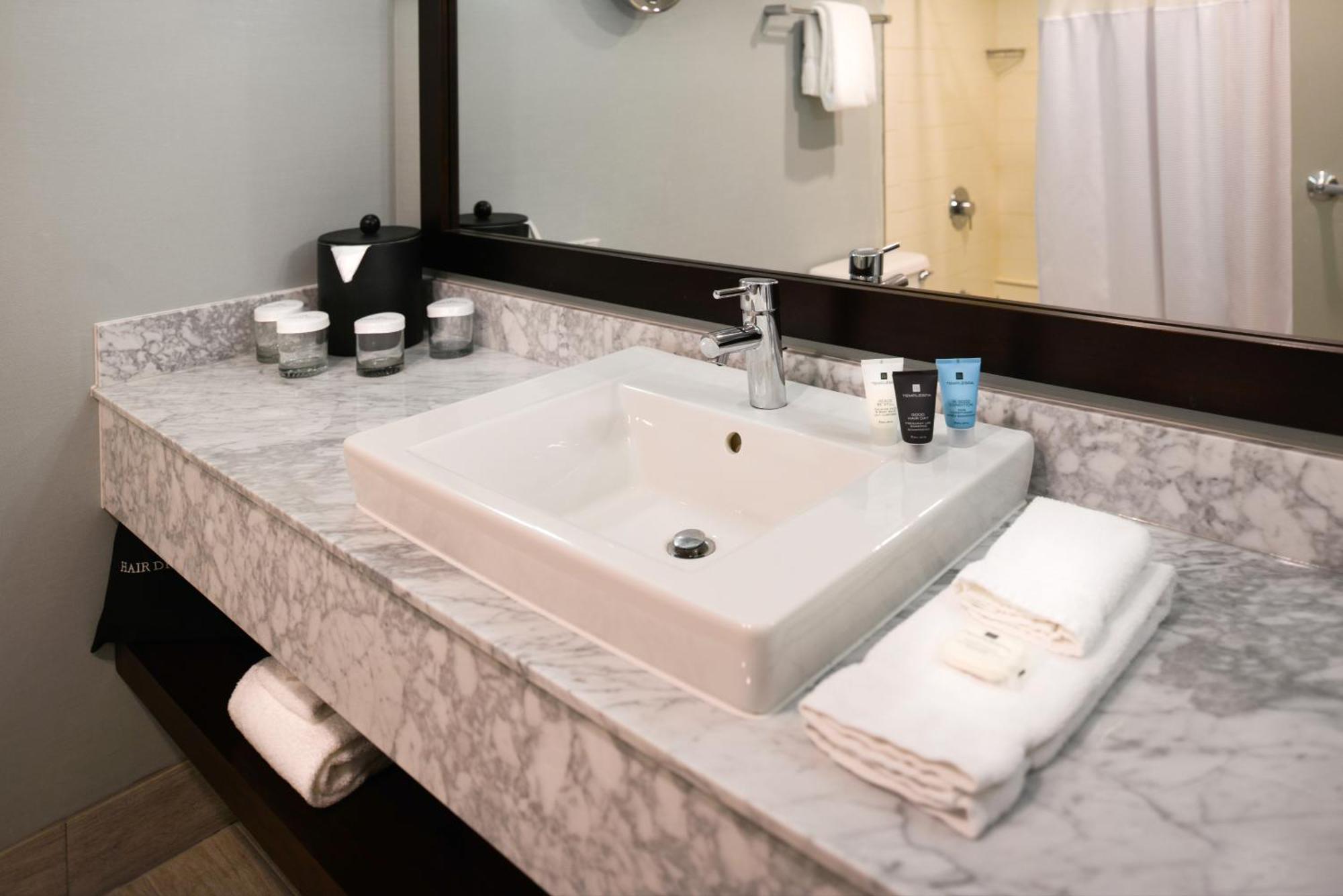 Standard King Room Sofa Bed