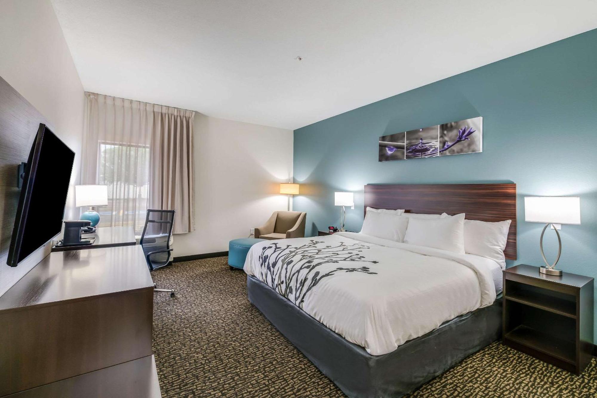 King Room Accessible or Non Smoking