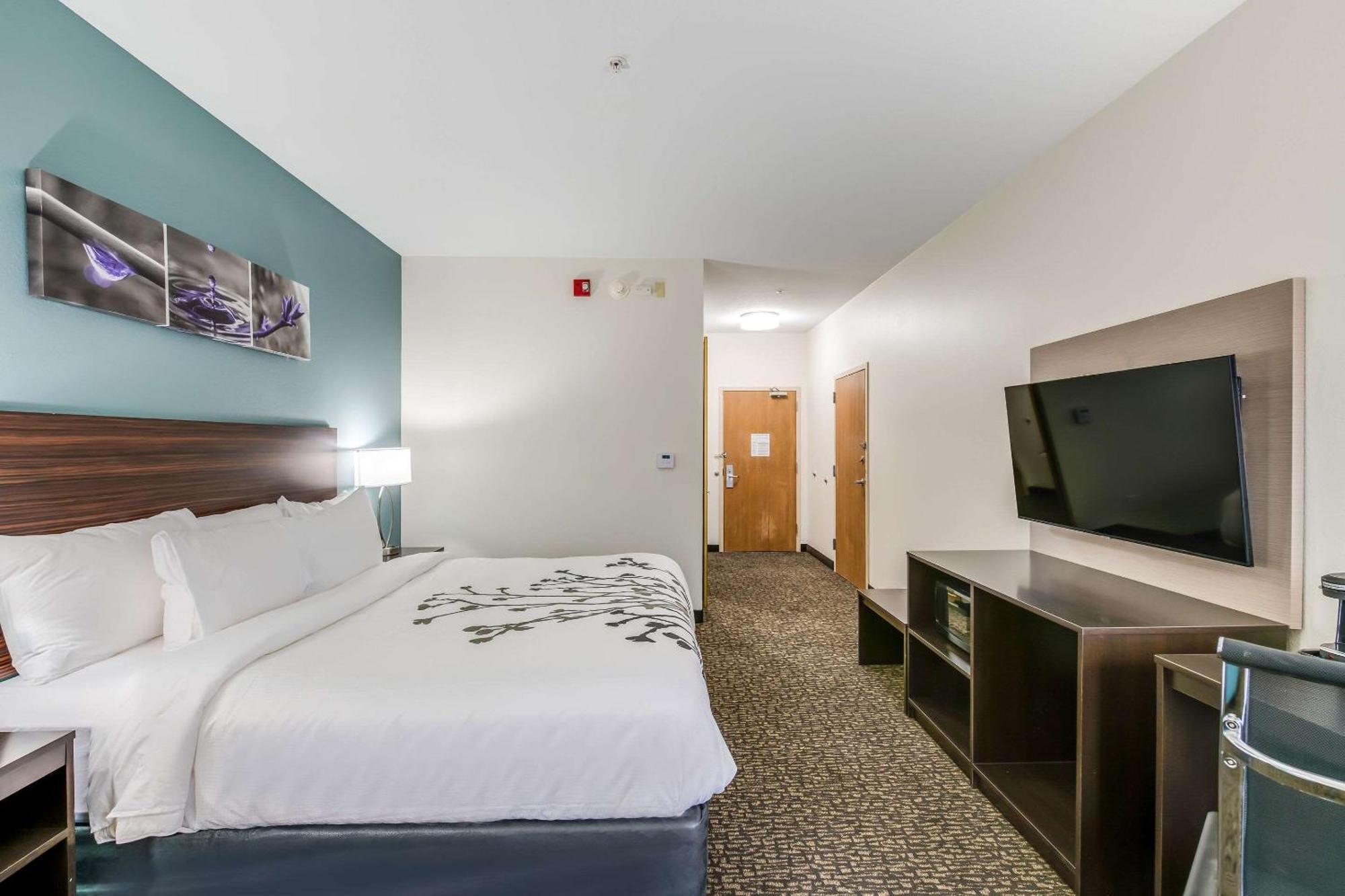 King Room Accessible or Non Smoking