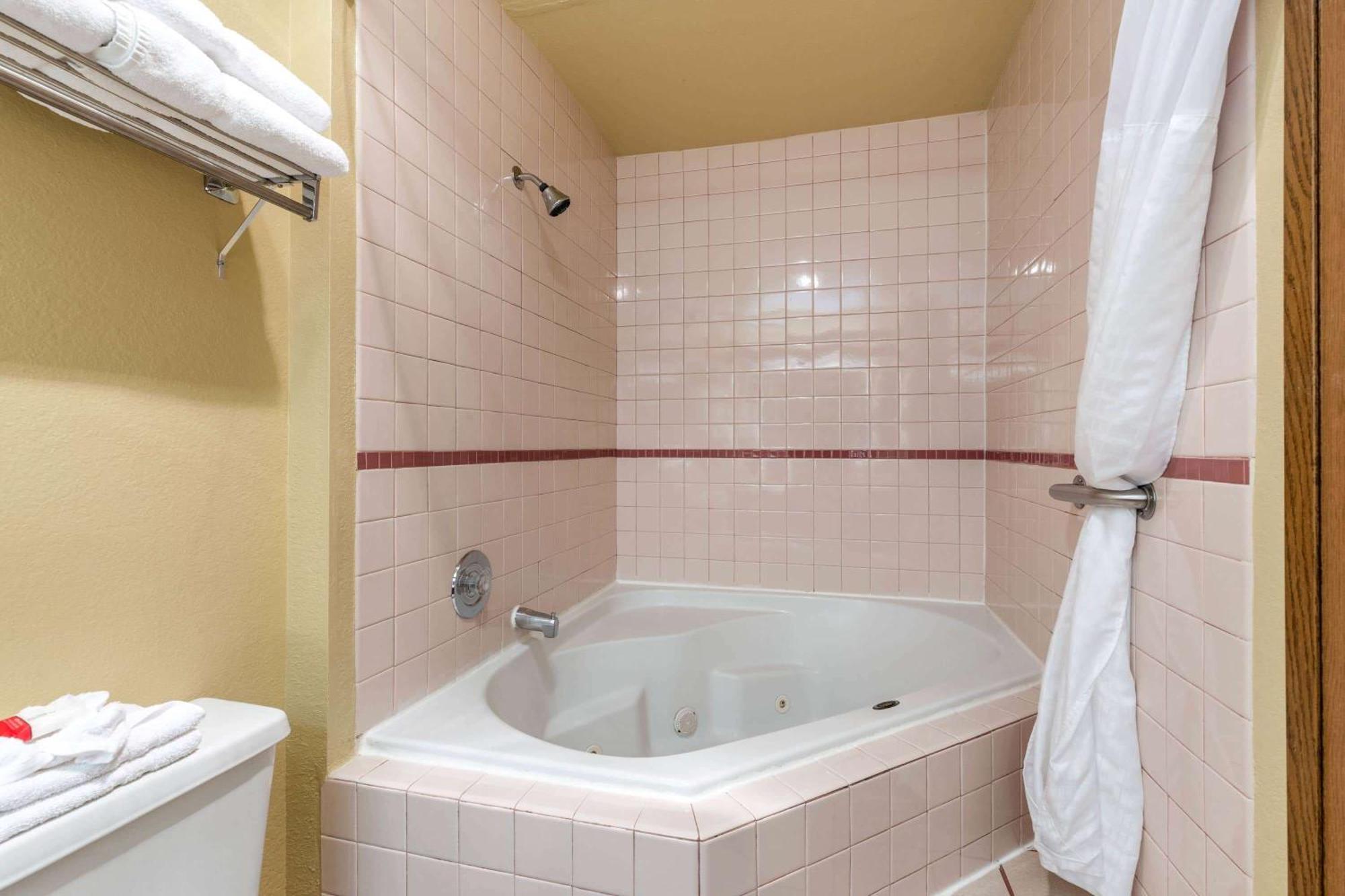 King Studio Suite Non-Smoking No Pets