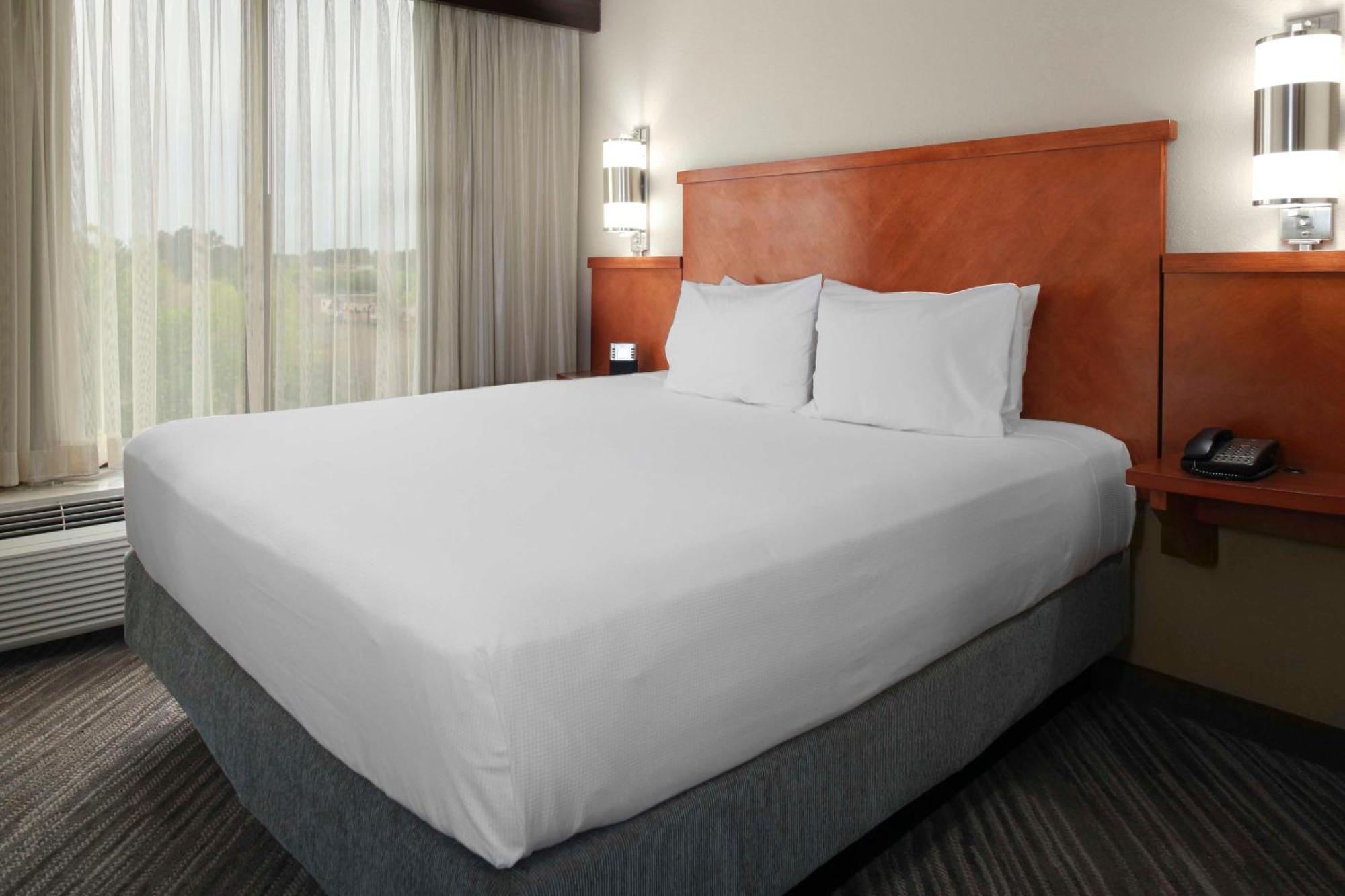 King Room Sofa Bed Accessible Tub Disability Access
