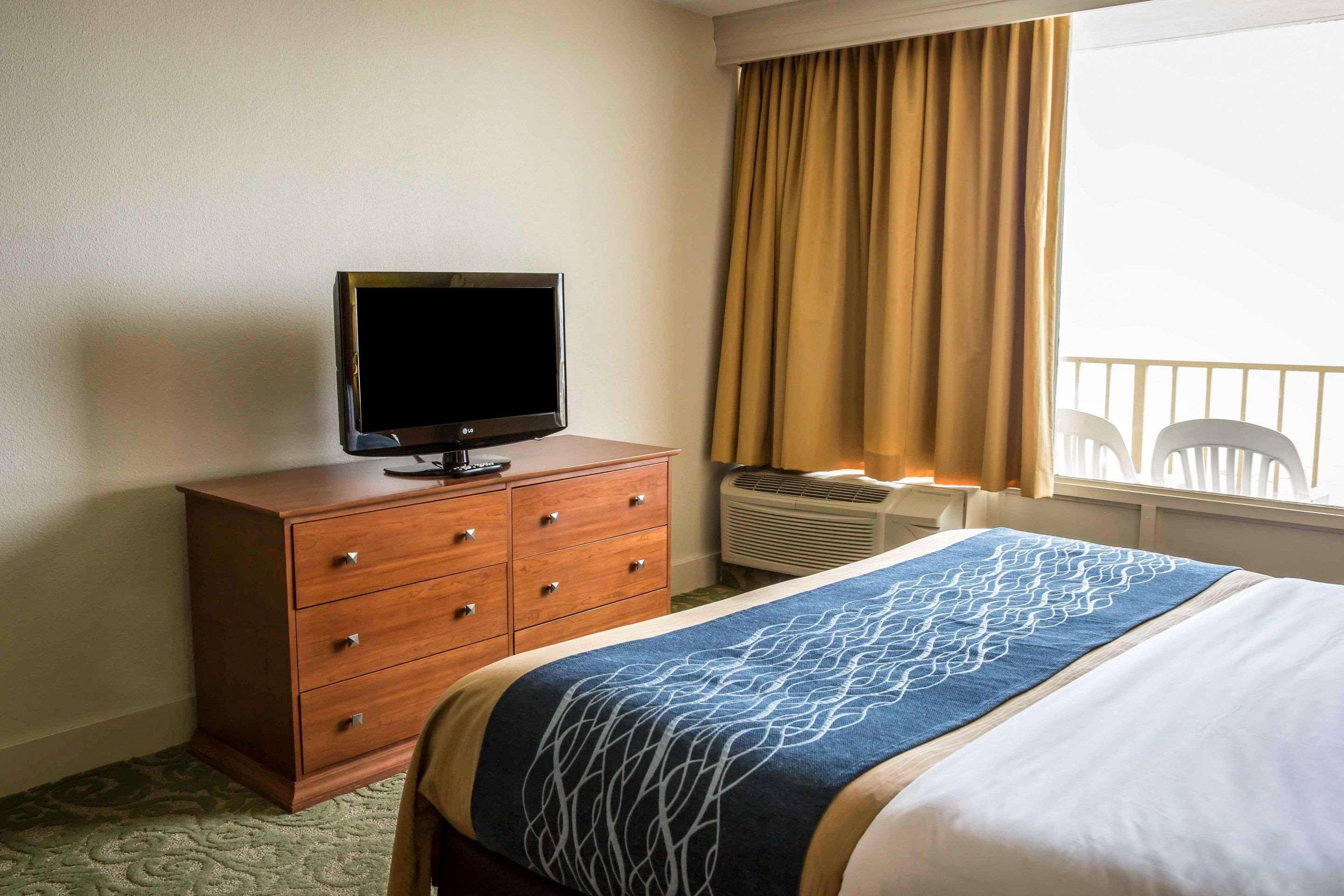 Room Two Double Beds Ocean View Pet Friendly