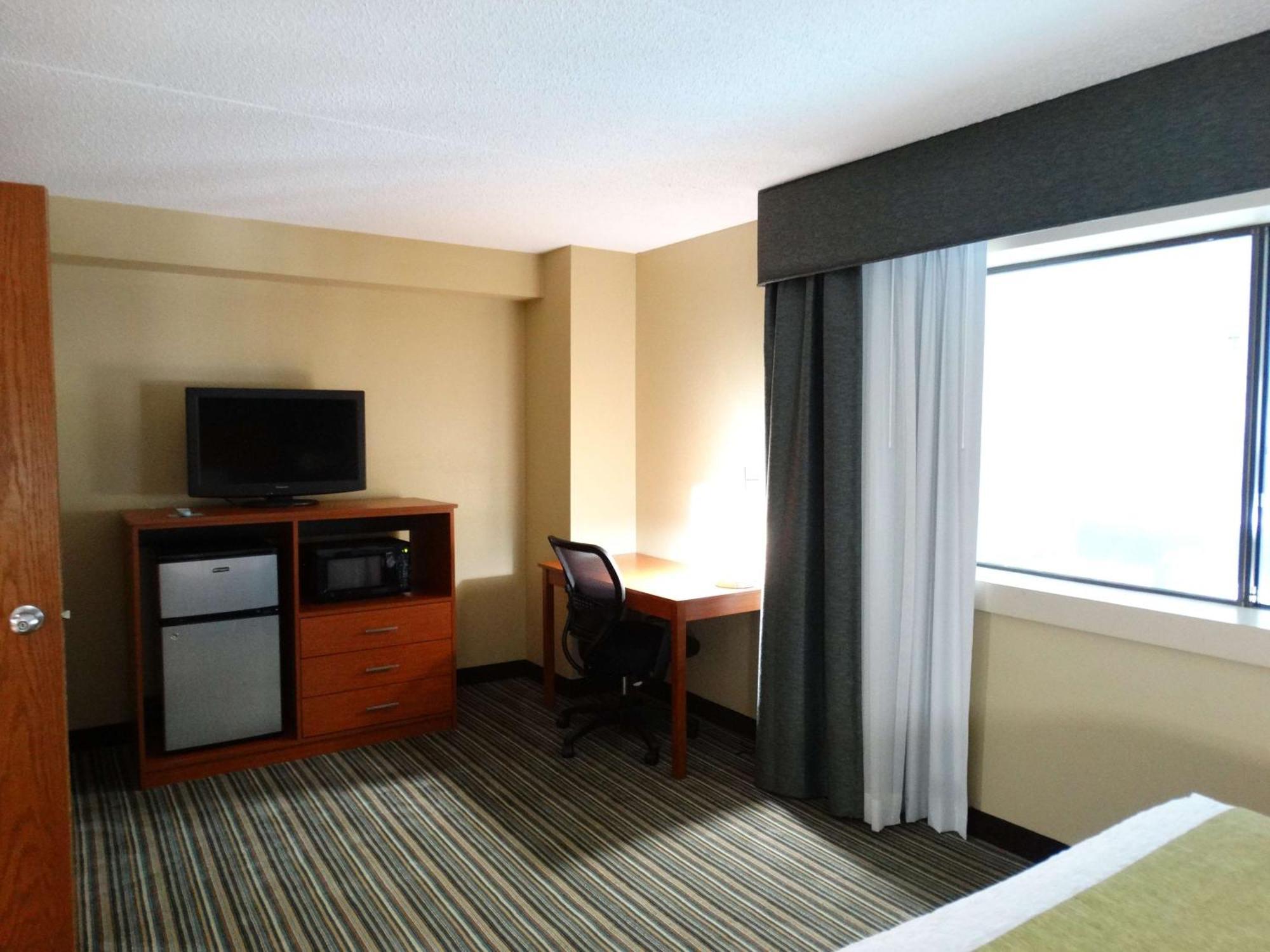 One-Bedroom King Suite Sofa Bed Non-Smoking
