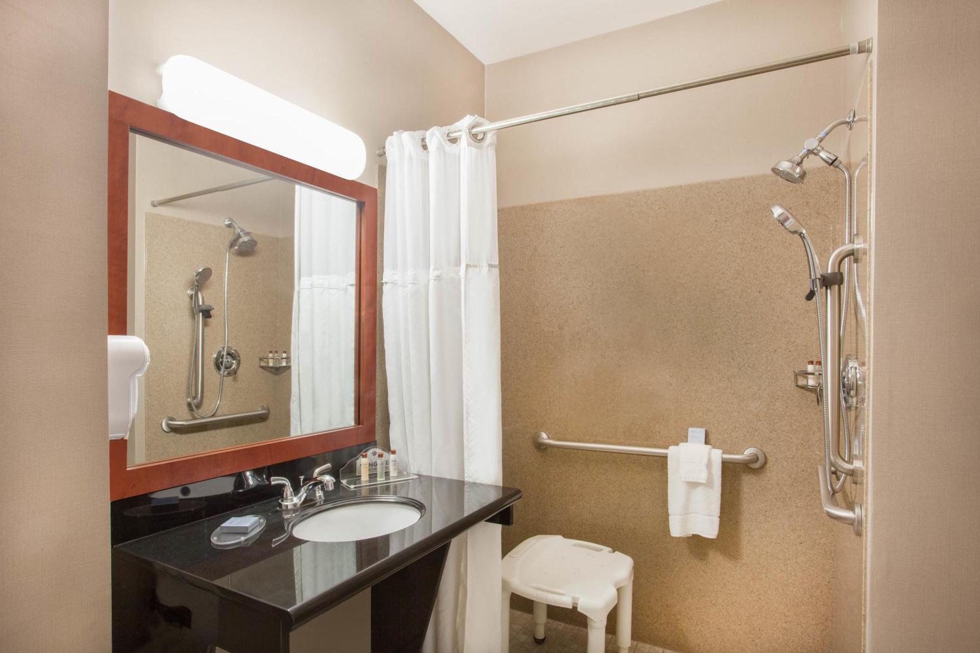 King Room Roll Shower Mobility Access or Non-Smoking