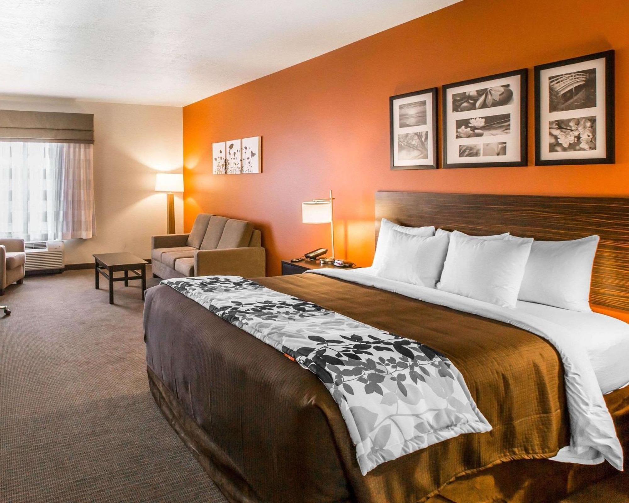 Junior Suite King Bed Non Smoking,1283264143:JPEG