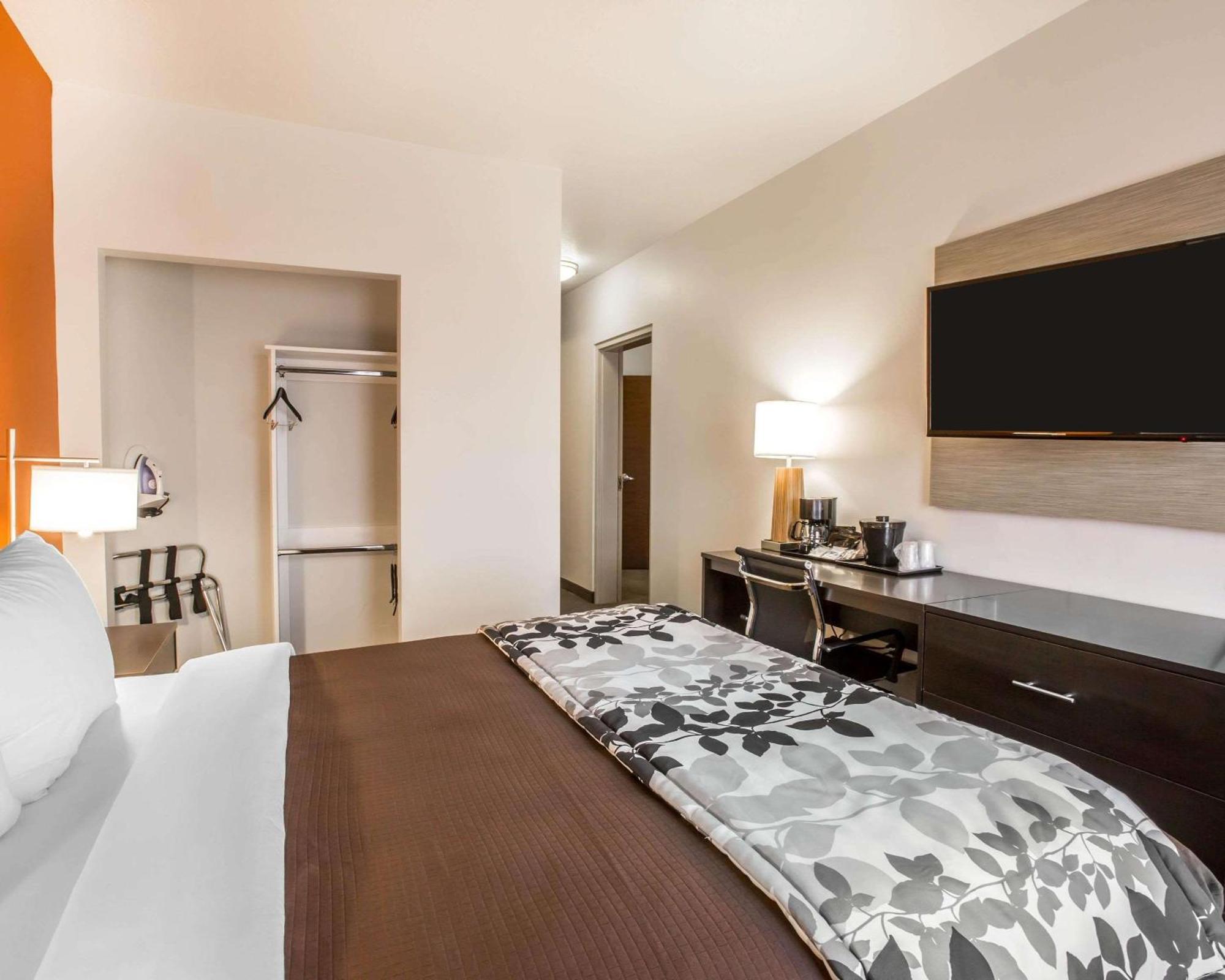King Room Accessible or Non-Smoking