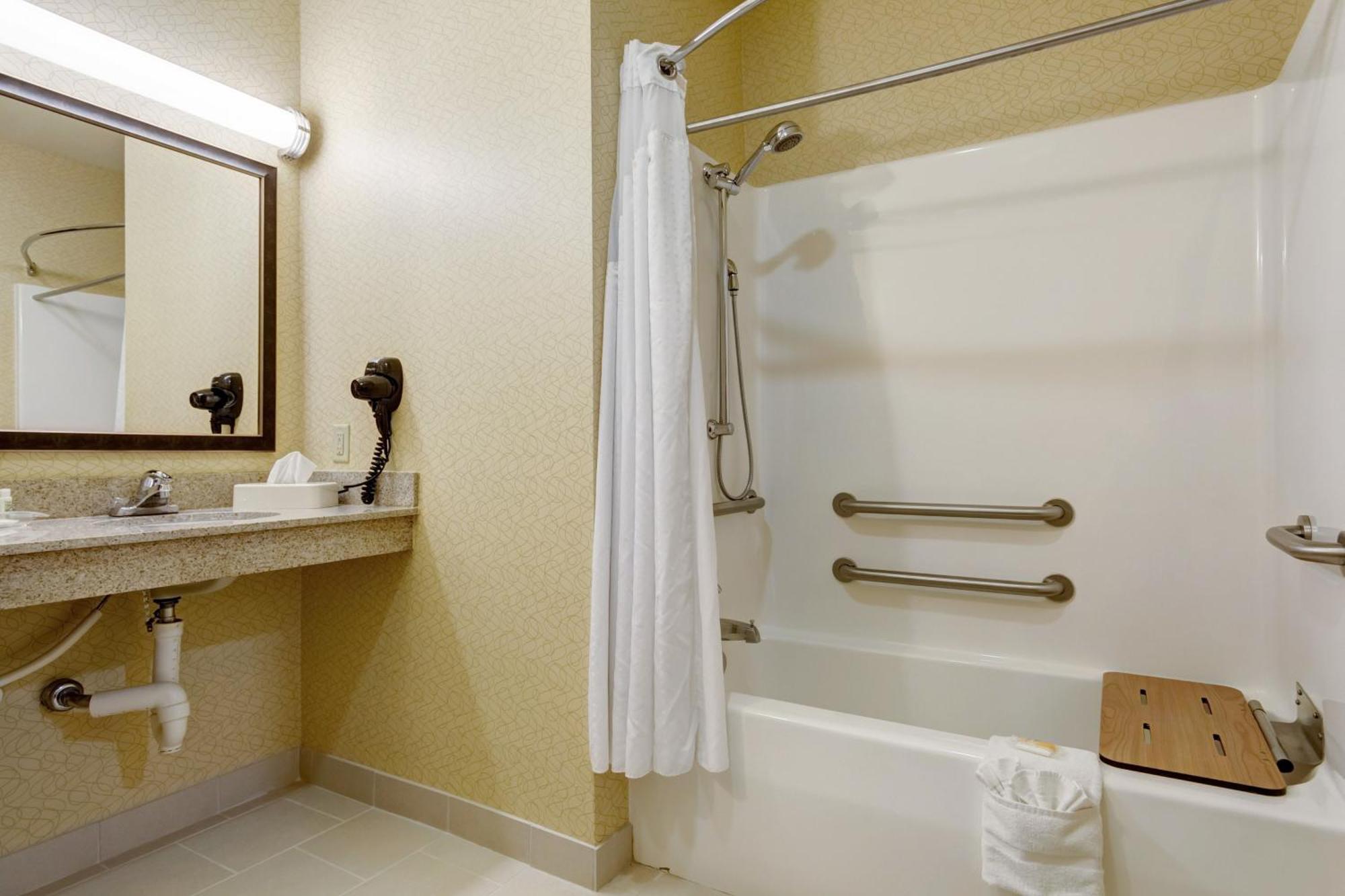 King Room Roll Shower Disability Access