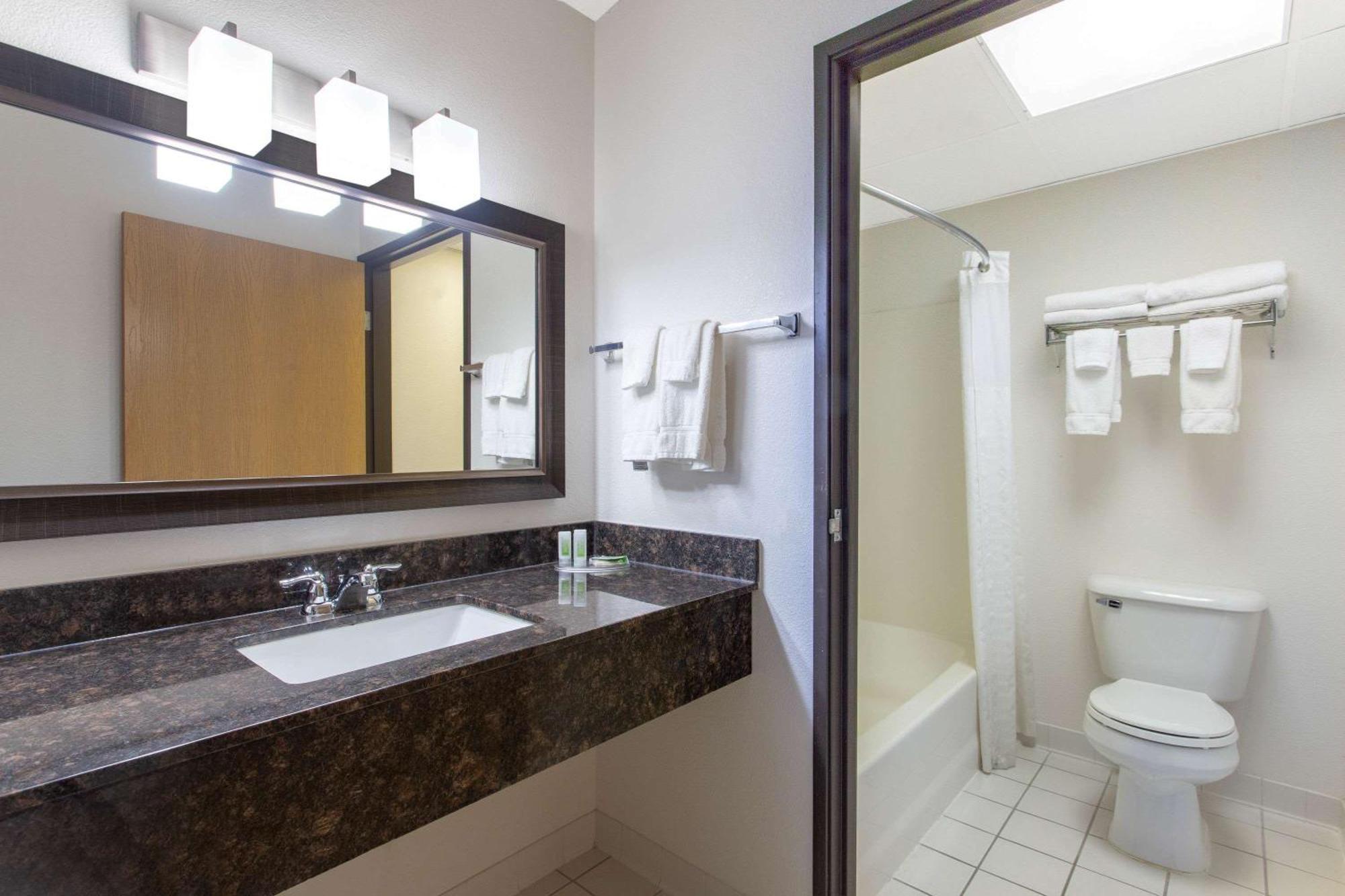 Superior One-Bedroom King Suite - Non-Smoking