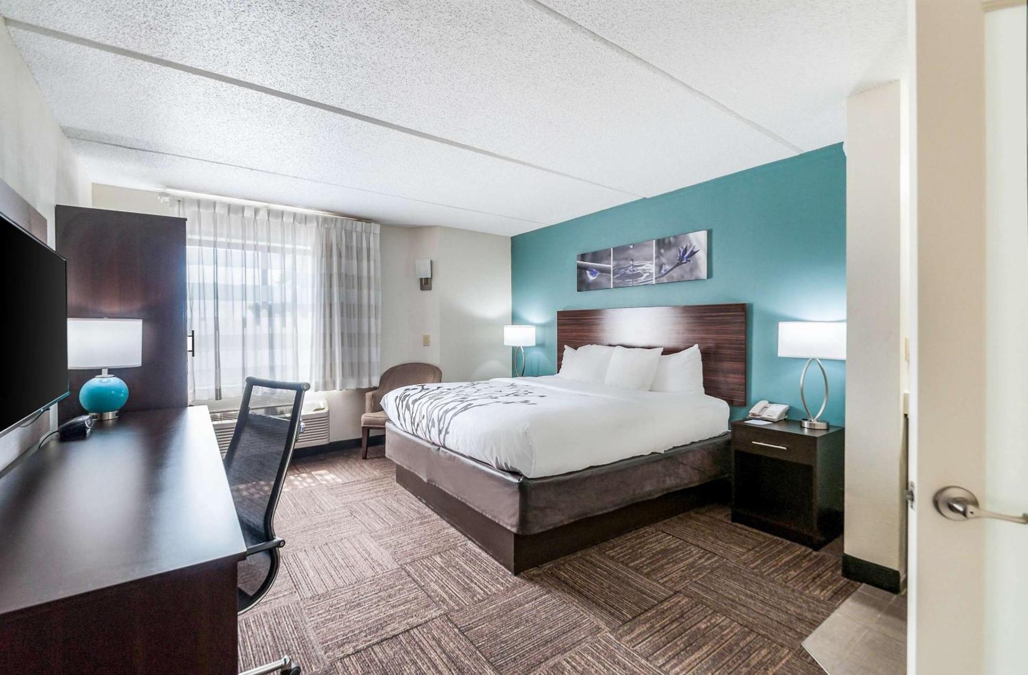 King Room Non Smoking or Pet Friendly
