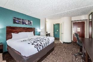 King Room Non Smoking or Pet Friendly