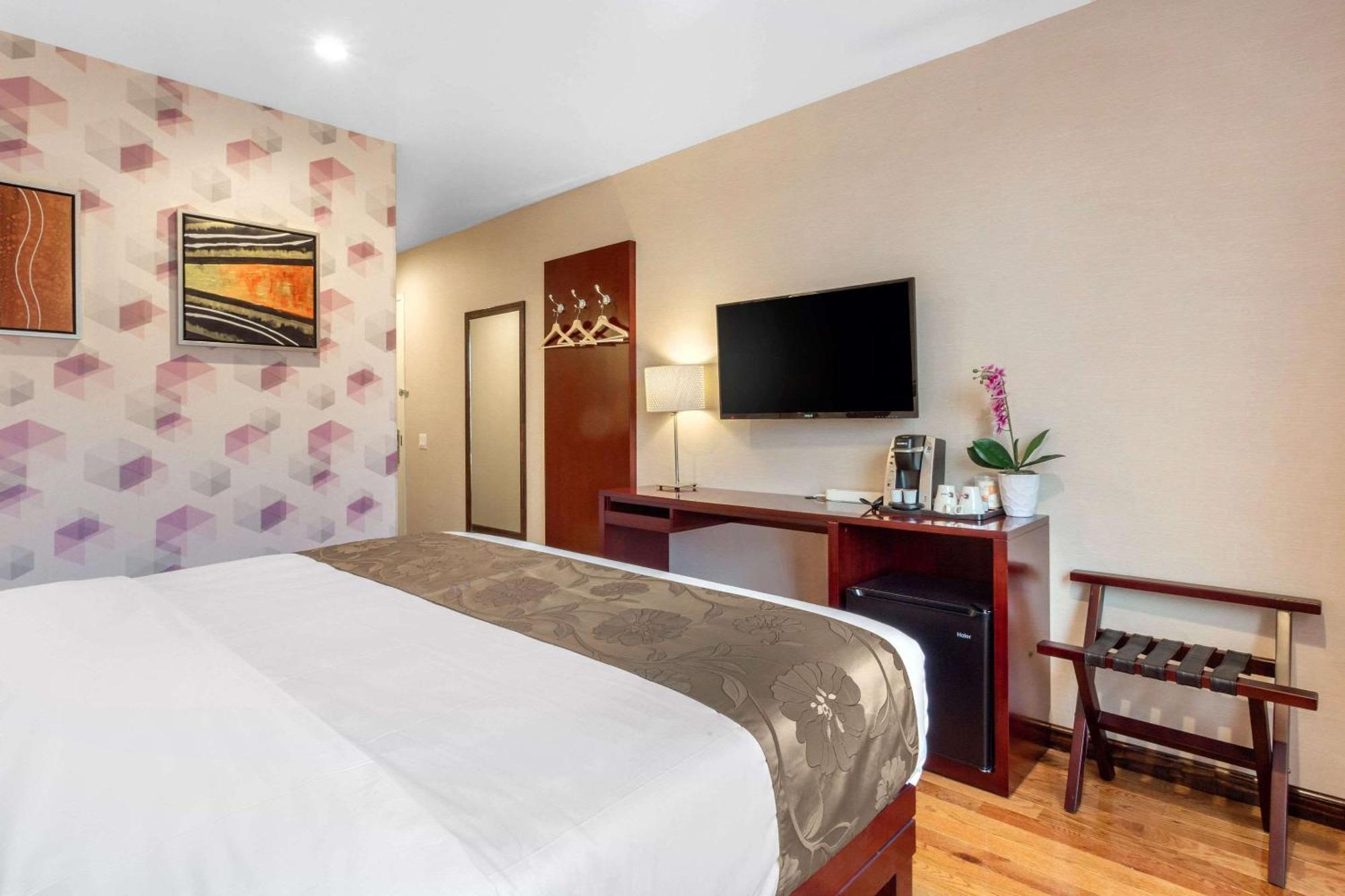 King Room Accessible or Non-Smoking