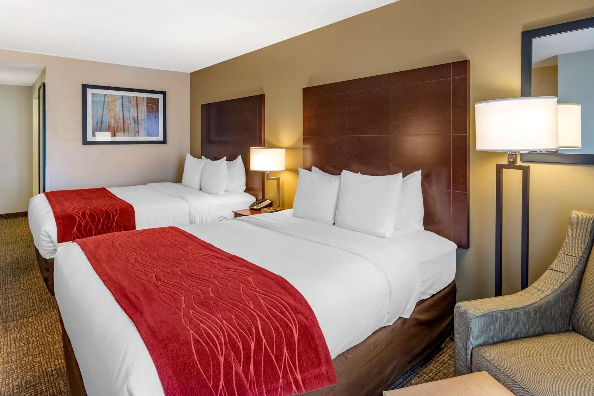 Superior Queen Room