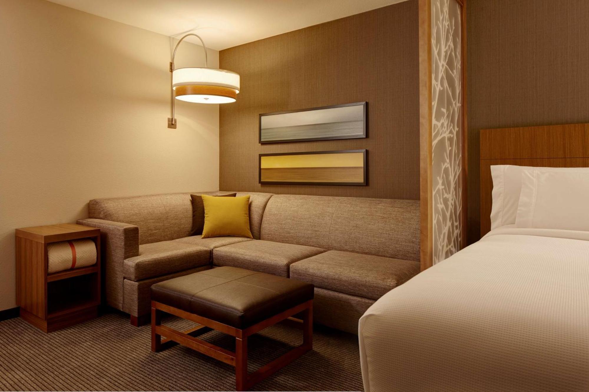 Standard King Room Sofa Bed