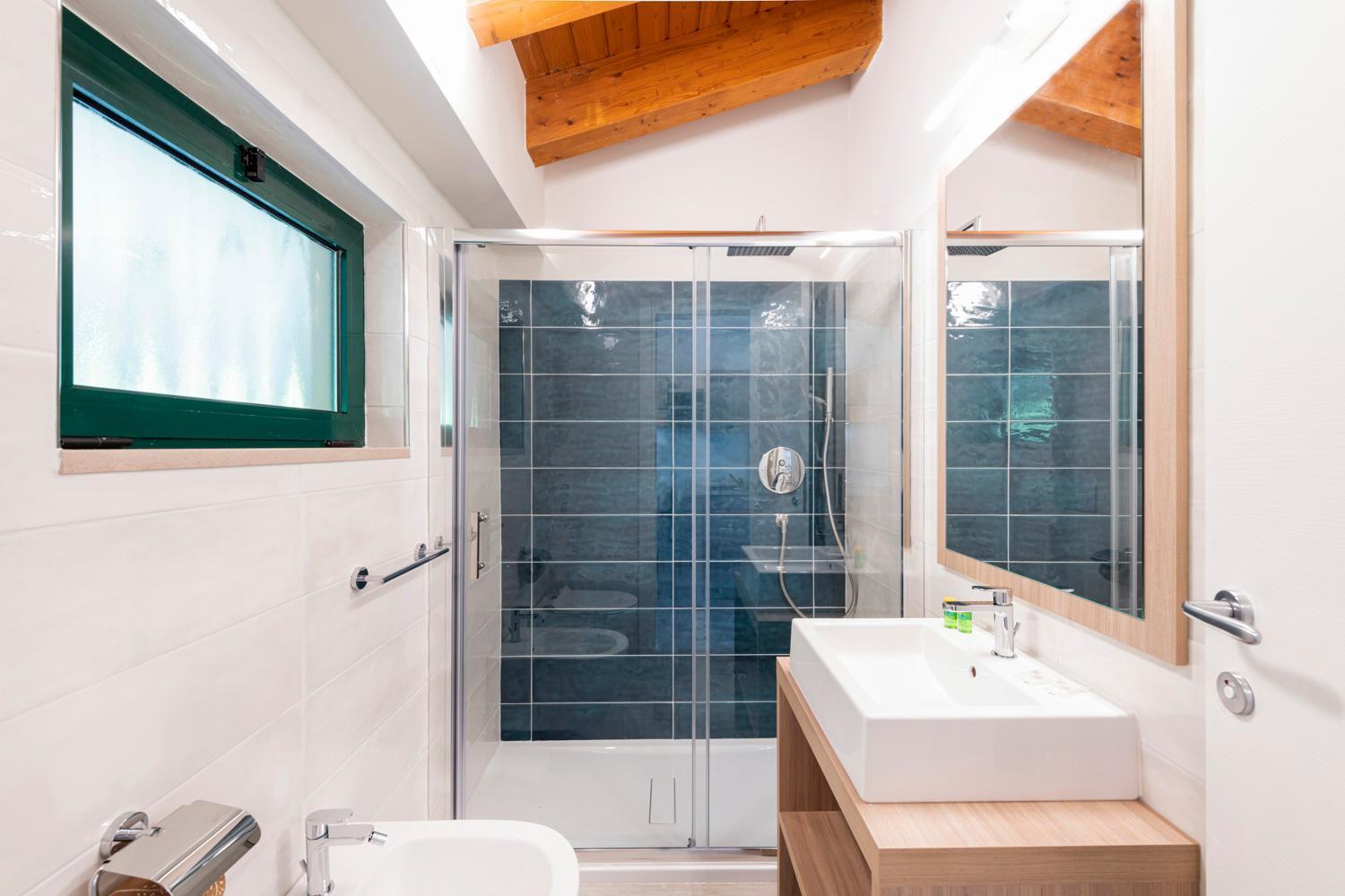 Studio Superior with Lake View,1765196013:JPEG