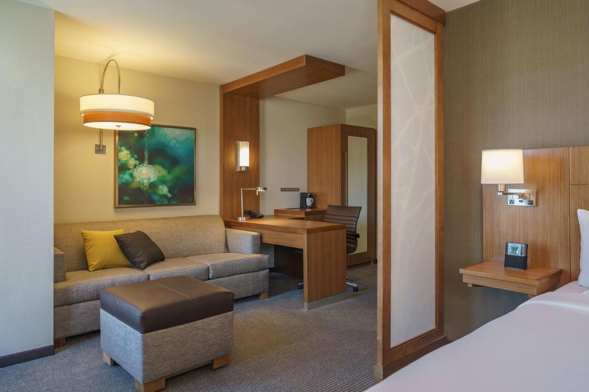 One-Bedroom Suite Sofa Bed