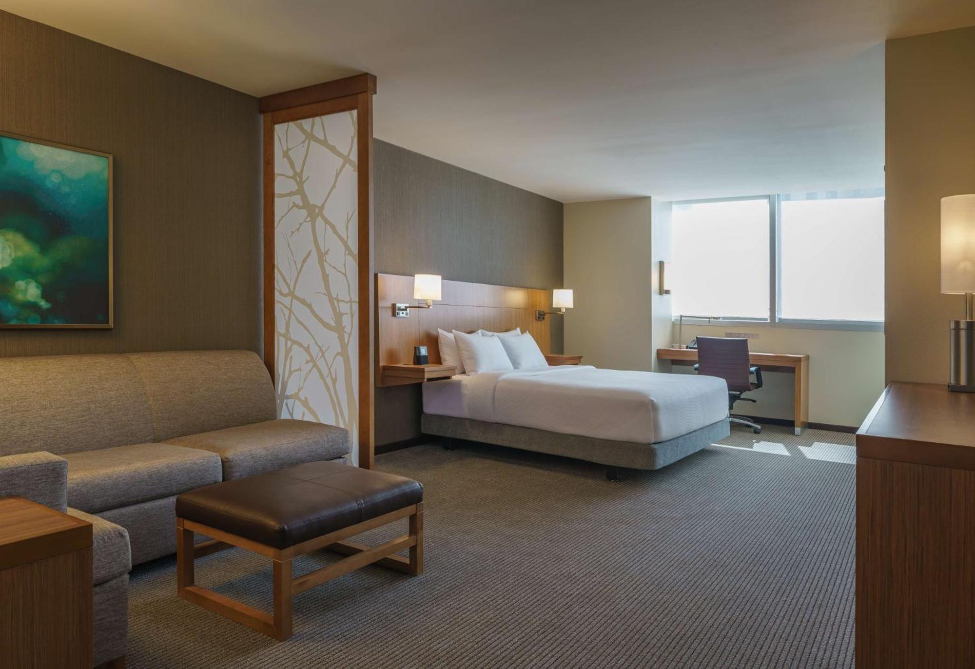 One-Bedroom Suite Sofa Bed