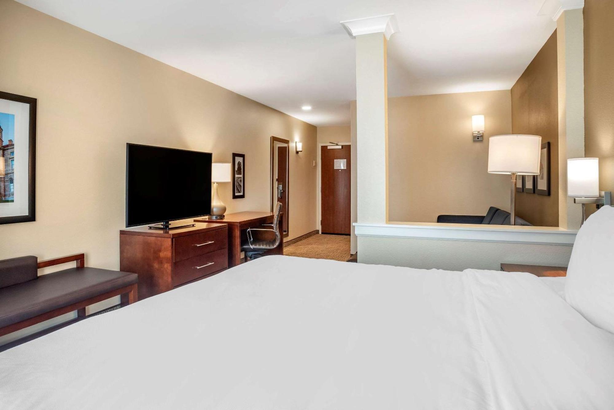 King Suite Sofa Bed Non Smoking
