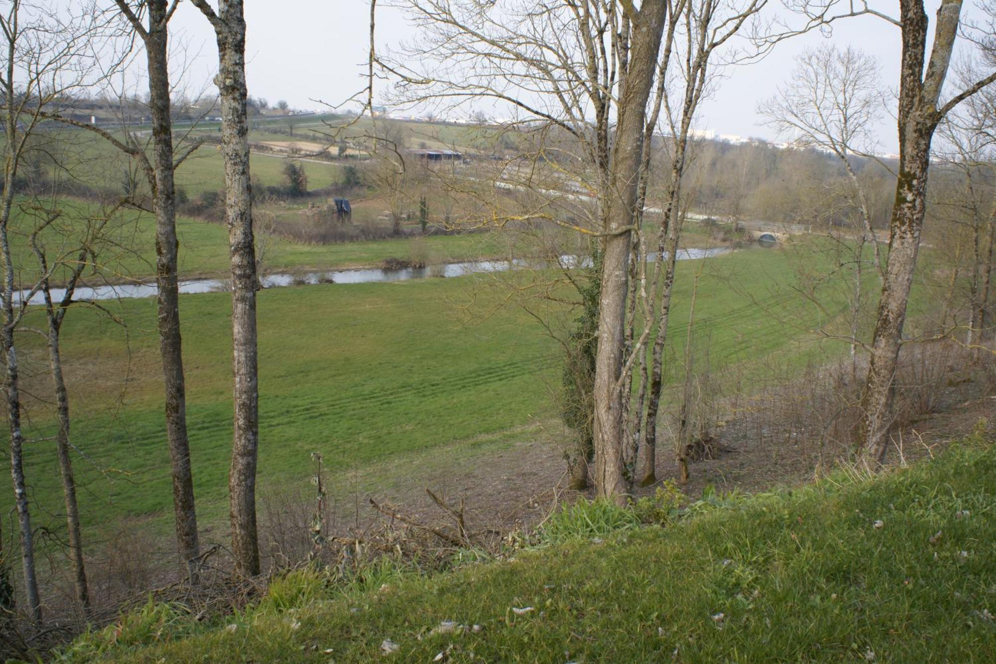 Double Garden View
