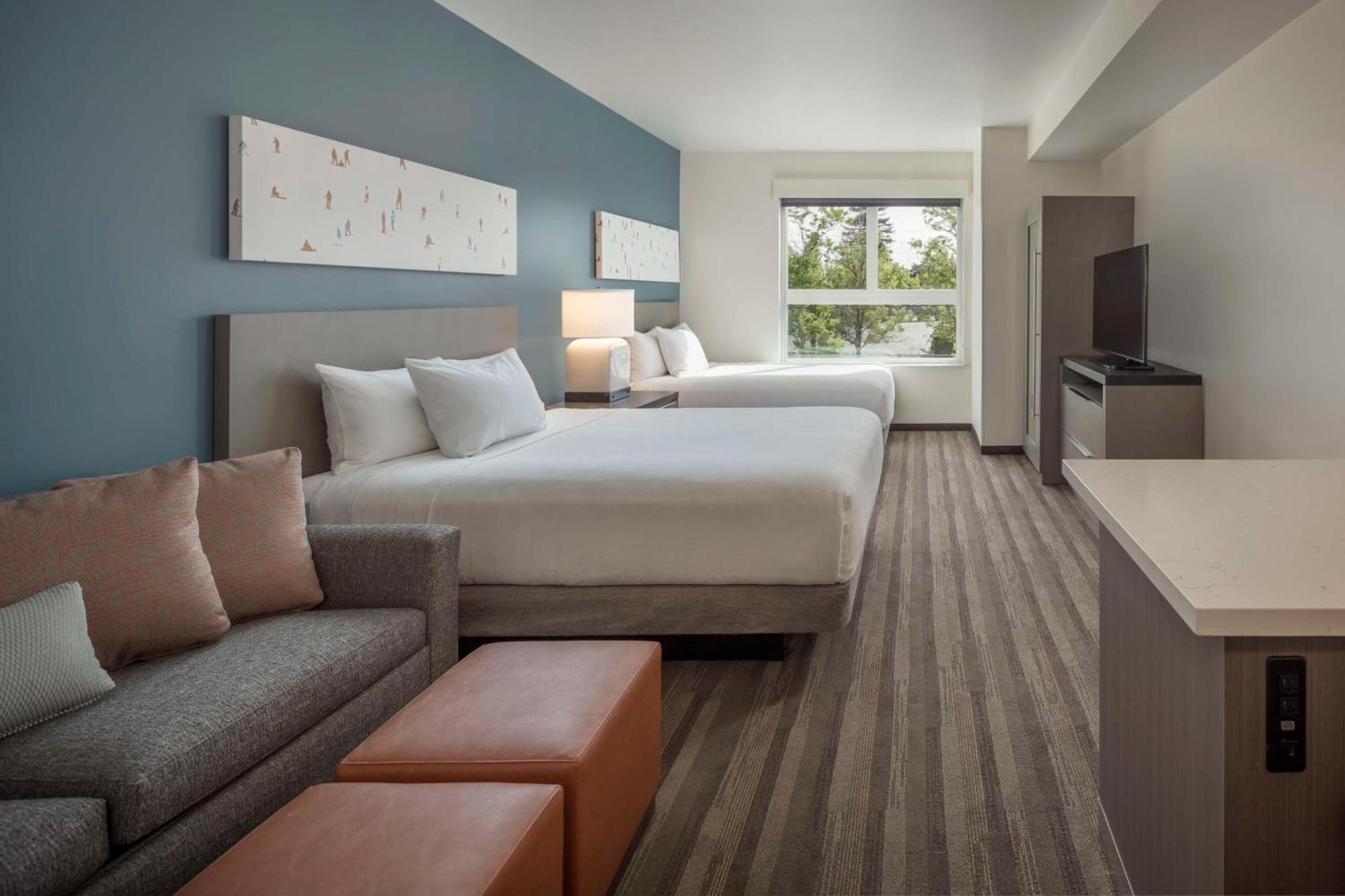 Studio Suite Two Queen Beds Sofa Bed Kitchen