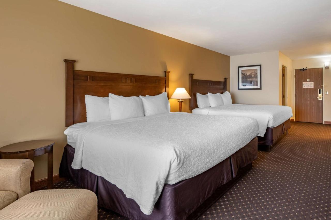 King Room Two King Beds