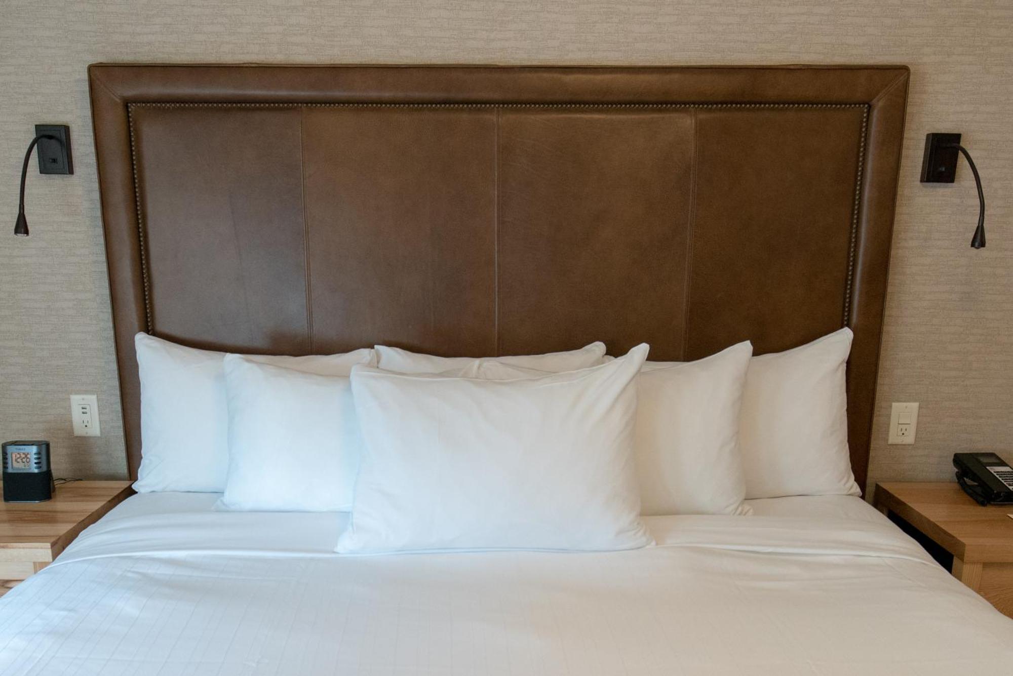 Suite met 1 Slaapkamer met Kingsize Bed