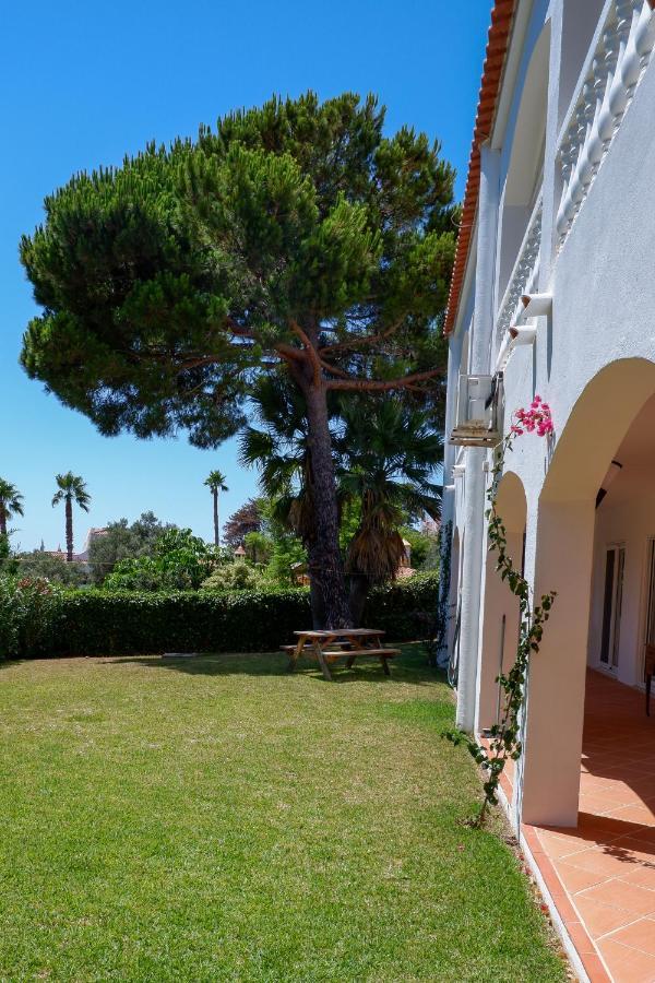 Apartment Terrace
