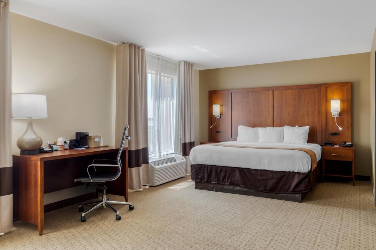 King Suite Disability Access or Non-Smoking