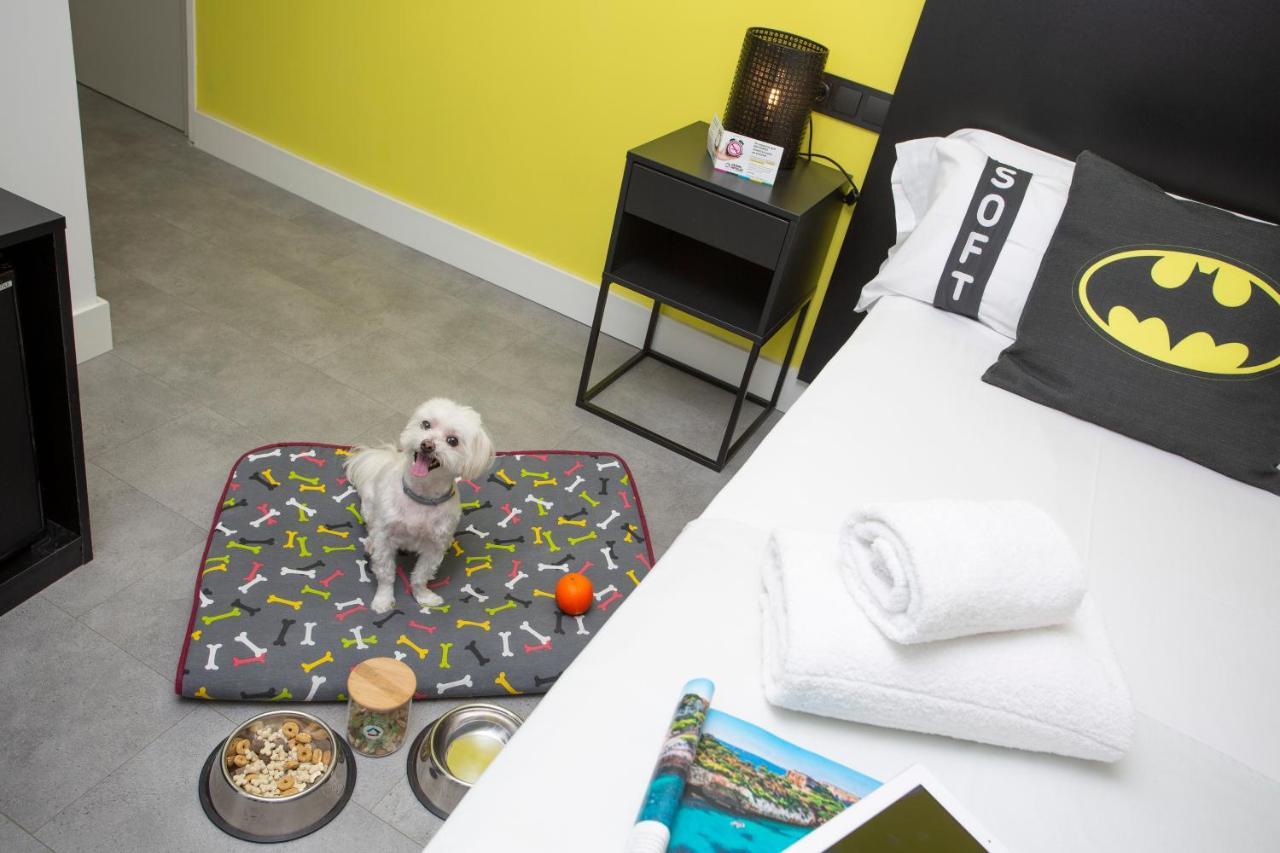 Interior Double or Twin Room