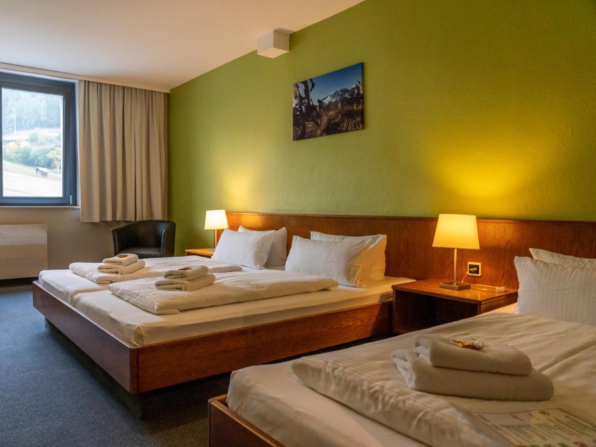 Triple Room Plus Mountain View