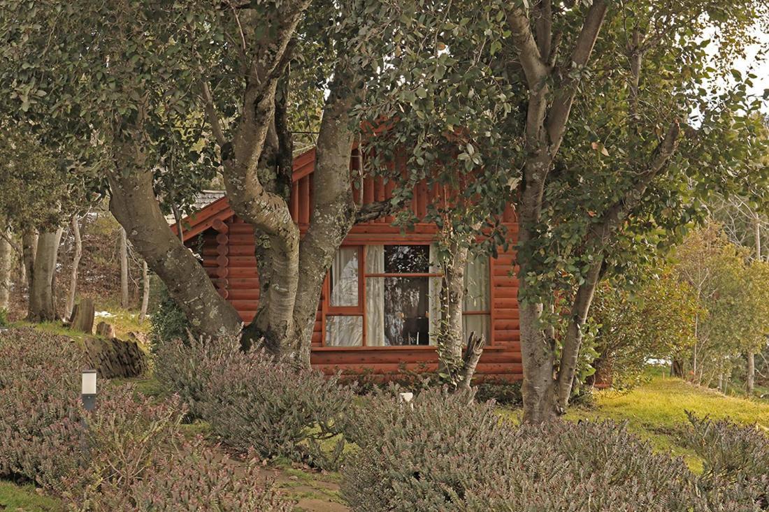 Two-Bedroom Bungalow