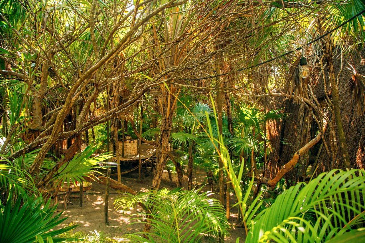 Garden Mayan Suite