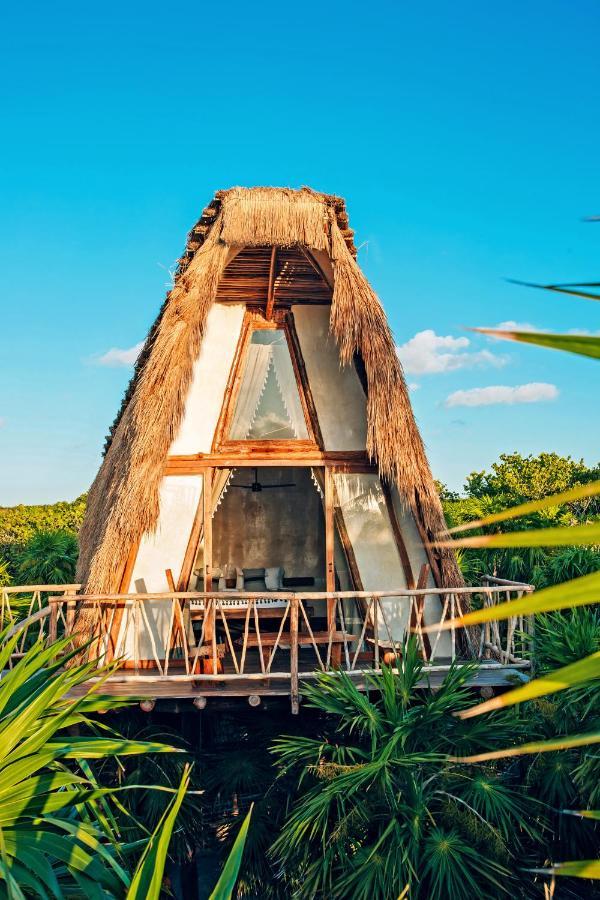 Tree House
