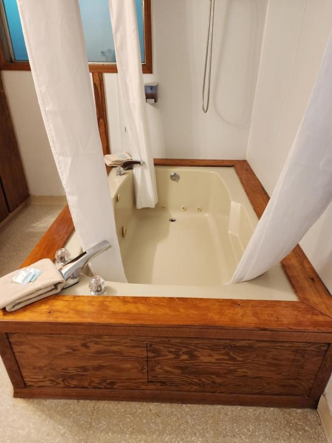 Spacious Suite on the Coast B