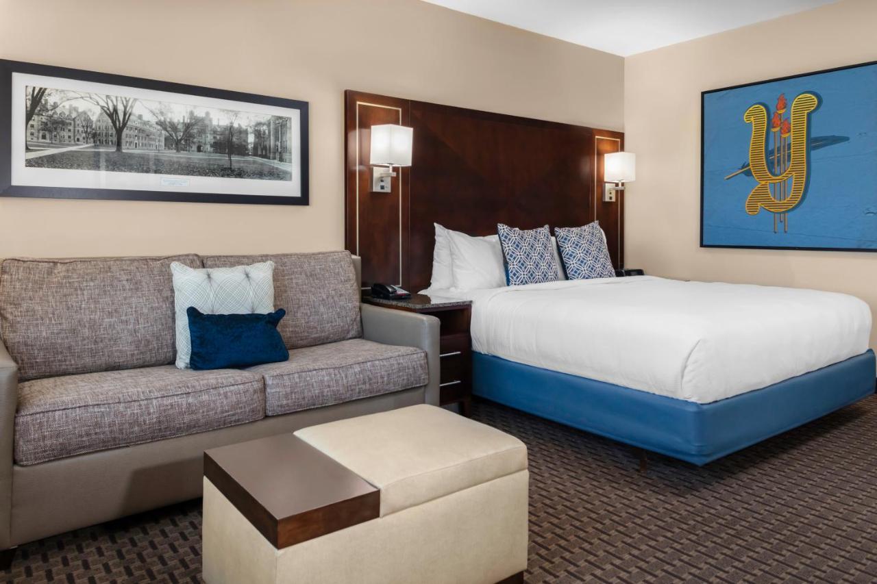 King Room Sofa Bed