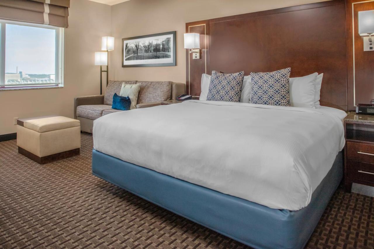 King Room Sofa Bed