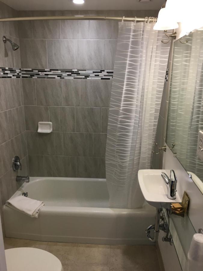 Modern Double Queen Room