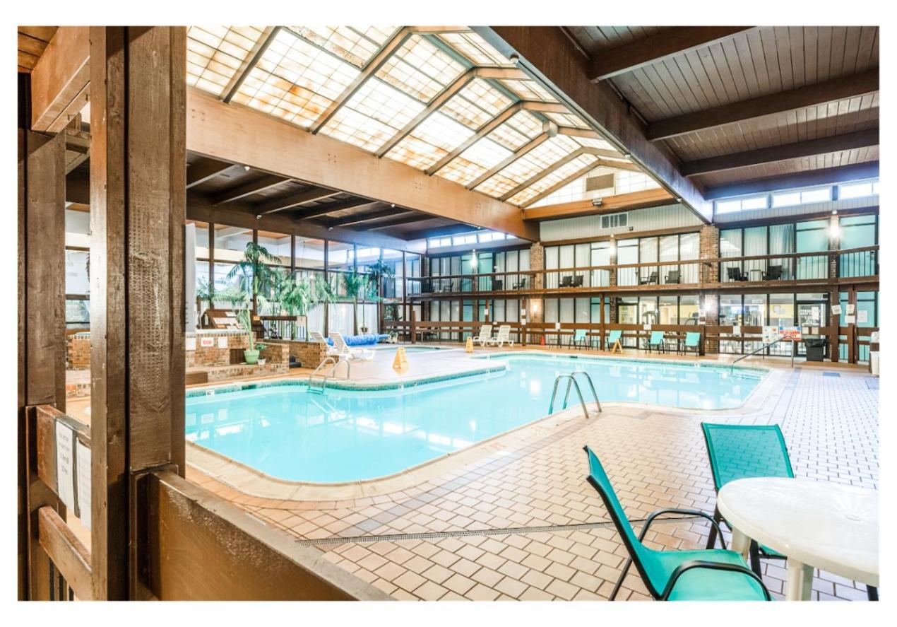 Queen Room Pool View