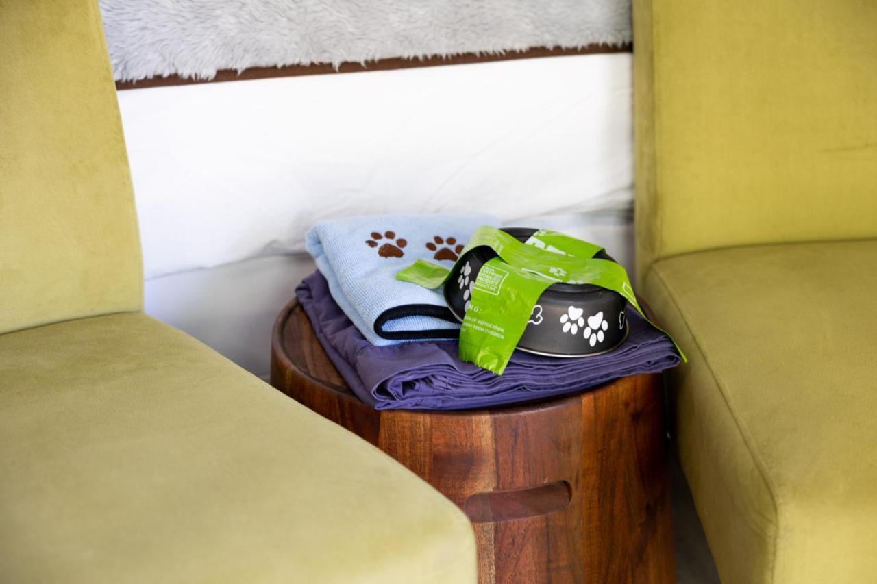 Deluxe King Studio Pet Friendly