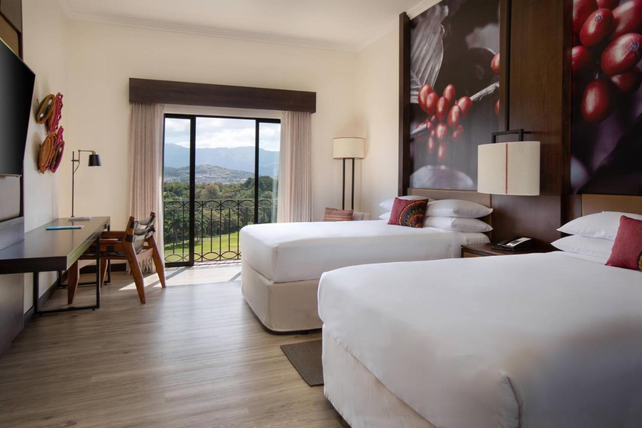 Guest Room Two Double Beds Mountain View