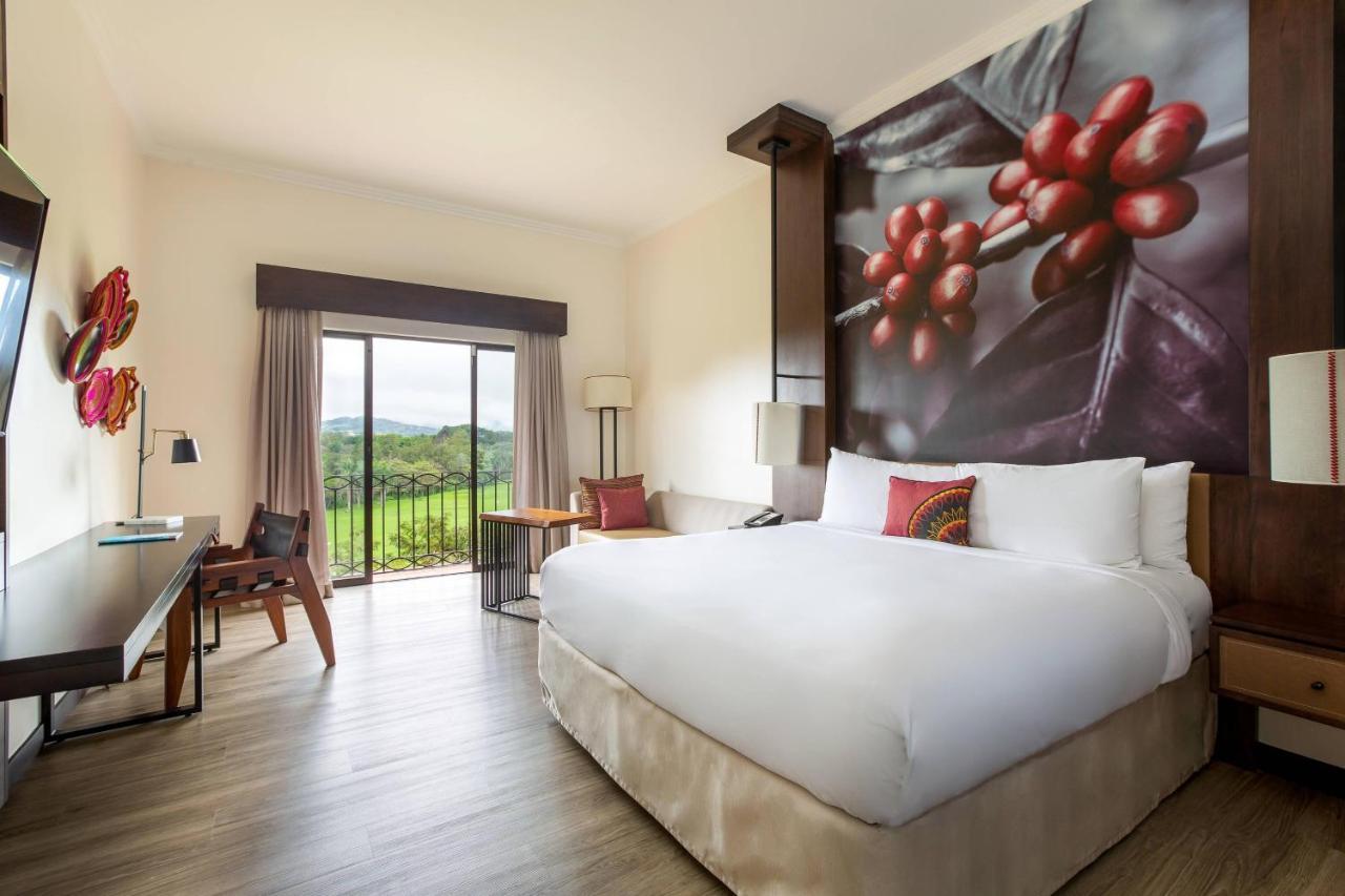 King Room Mountain View