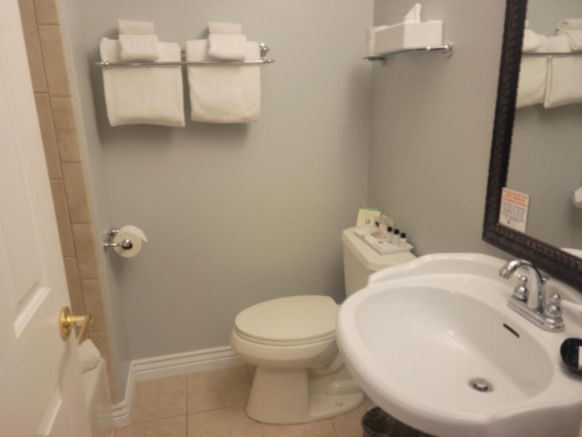 Standard Queen Room No Pets