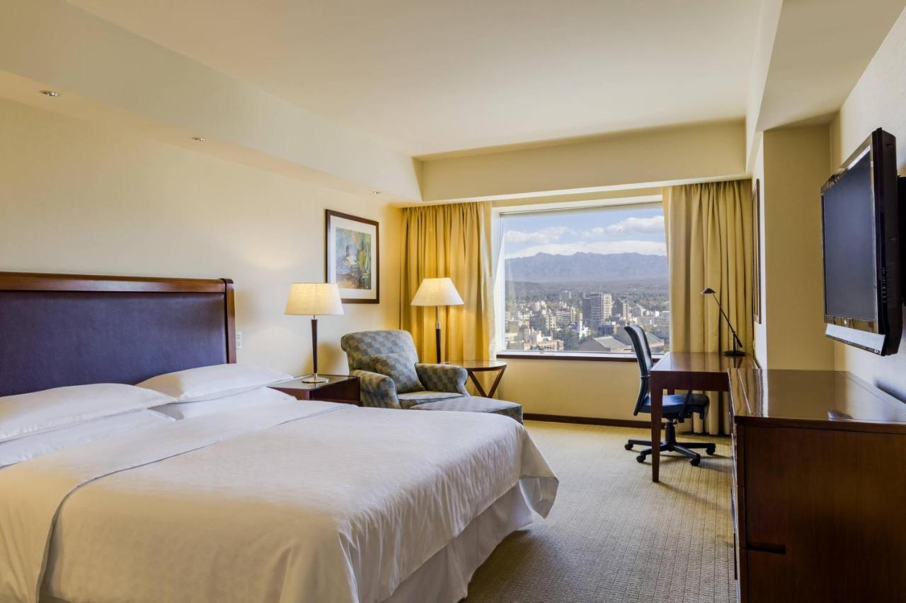 Guest room 1 King City view