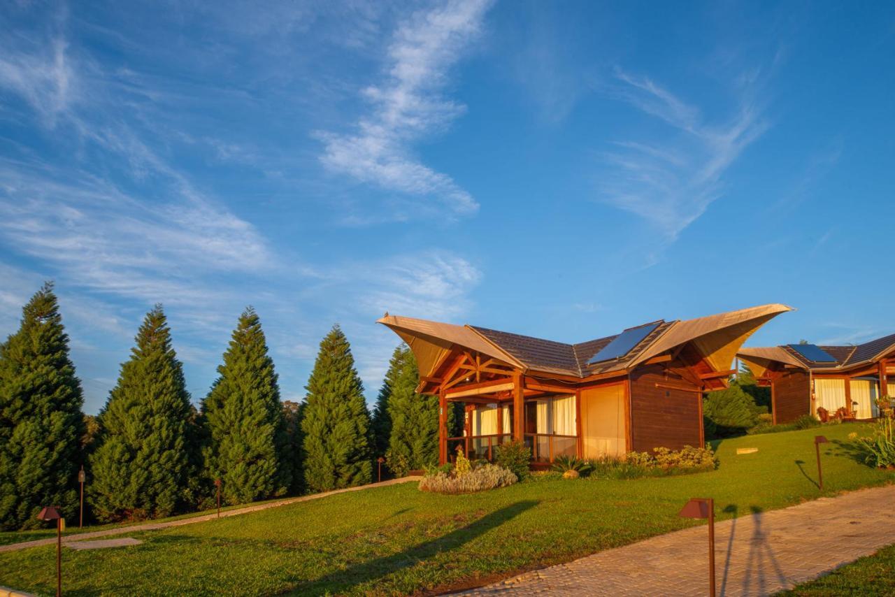 Superior Bungalow