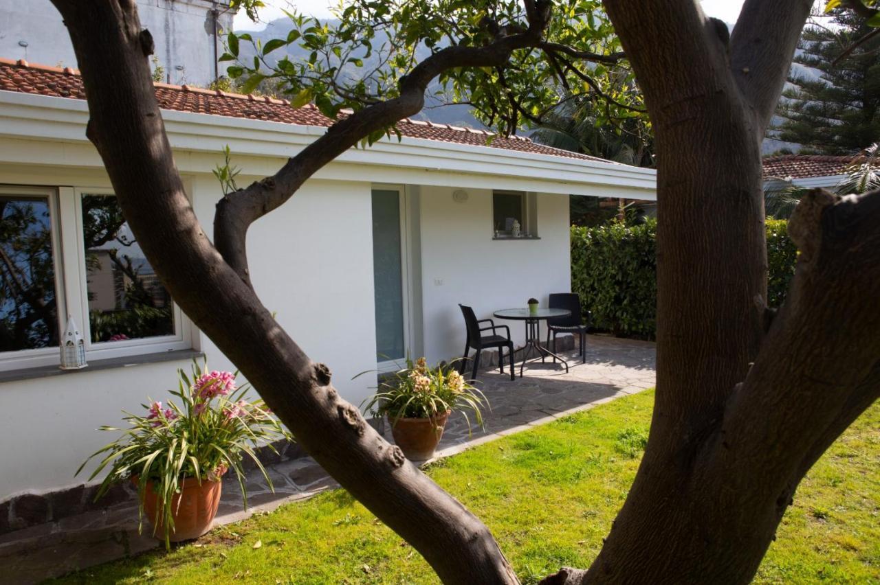 Suite Garden View