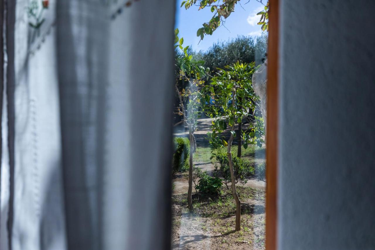 Apartment Garden View