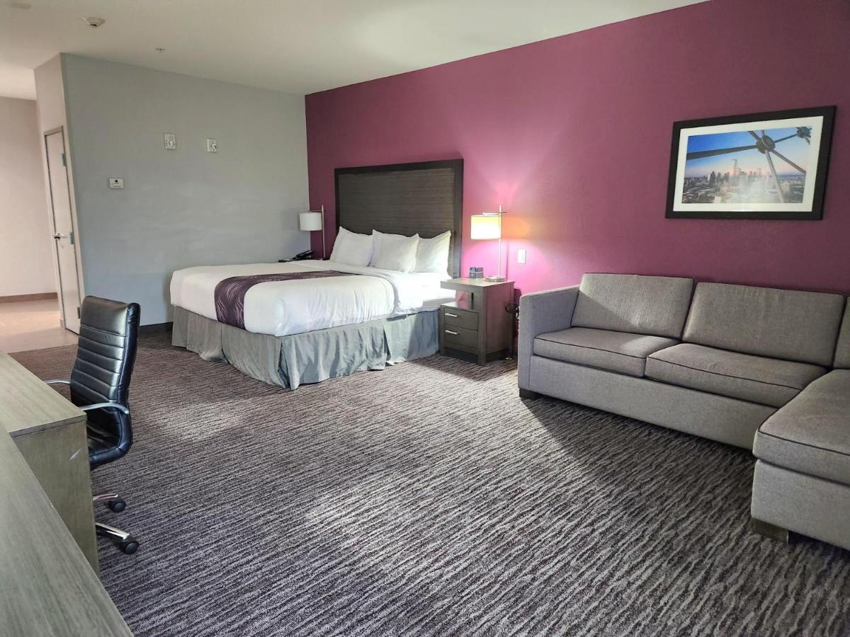 Deluxe King Room Bath Tub Mobility or Hearing Accessible Non-Smoking