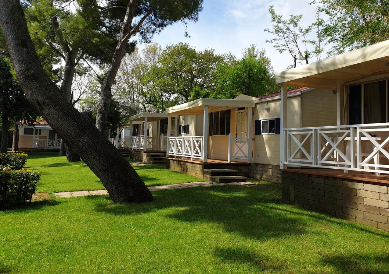 Easy Mobile Home,1742825108:JPEG