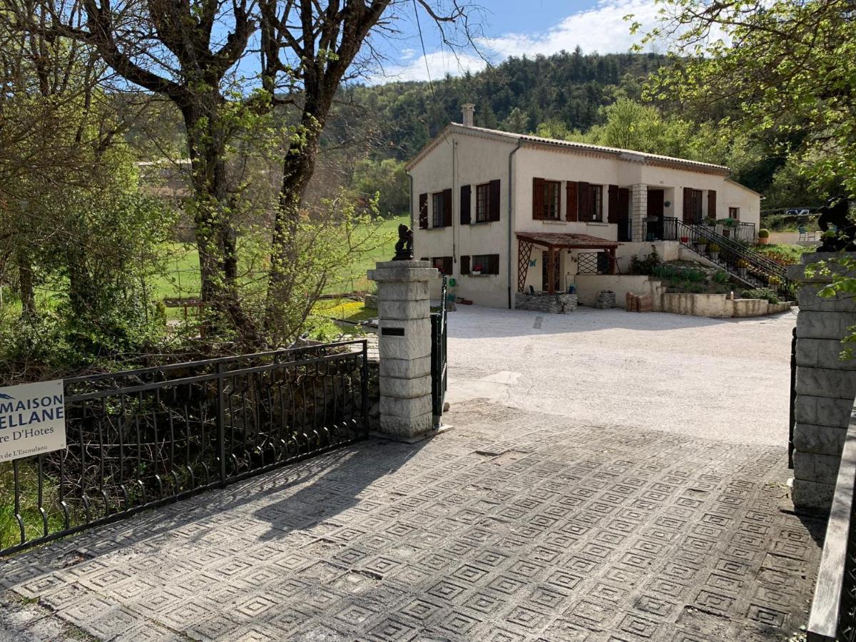 Studio Terrace