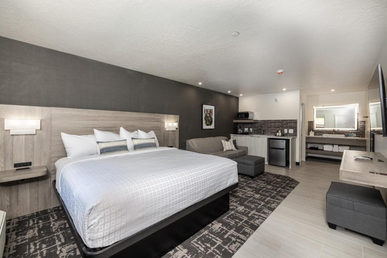 Signature King Suite Sofa Bed 1st Floor